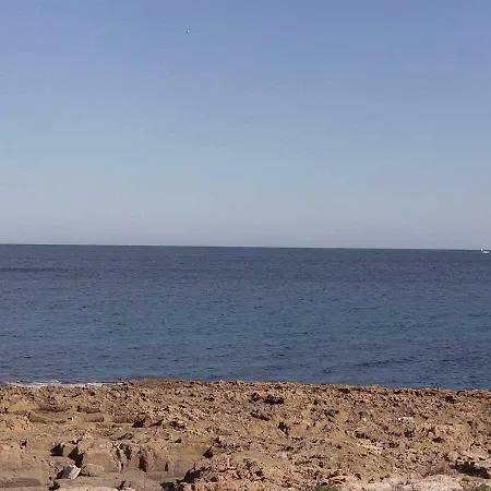 Salamandra * Javea